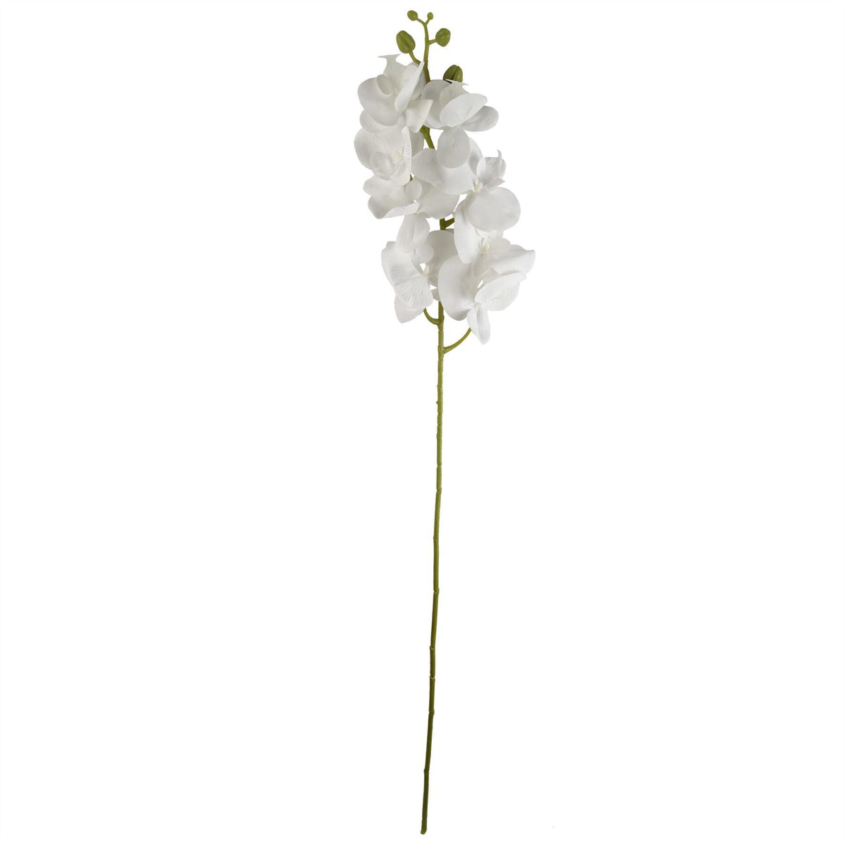 Pack of 6 x 100cm Artificial Phalaenopsis Orchid White Stem - Premium Quality