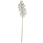 Pack of 6 x 100cm Artificial Phalaenopsis Orchid White Stem - Premium Quality