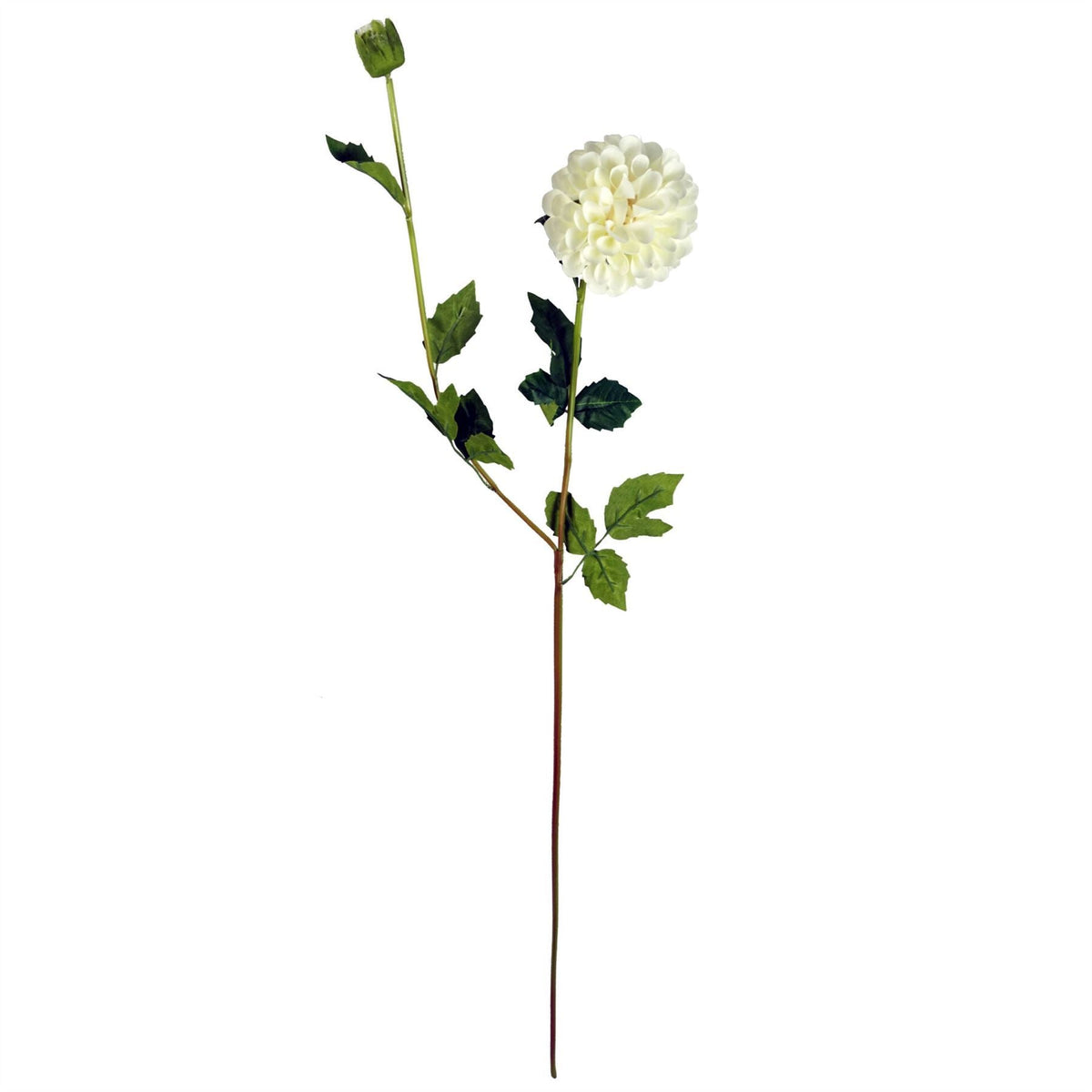 Pack of 6 x 75cm Artificial Dahlia PomPom Flower Stem Cream - Premium Quality