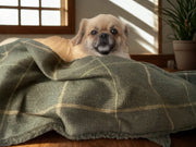 Arlo Forest Green Check Dog Blanket – Luxury Reversible Lambswool Sherpa Throw