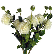 Pack of 6 x 75cm Artificial Dahlia PomPom Flower Stem Cream - Premium Quality