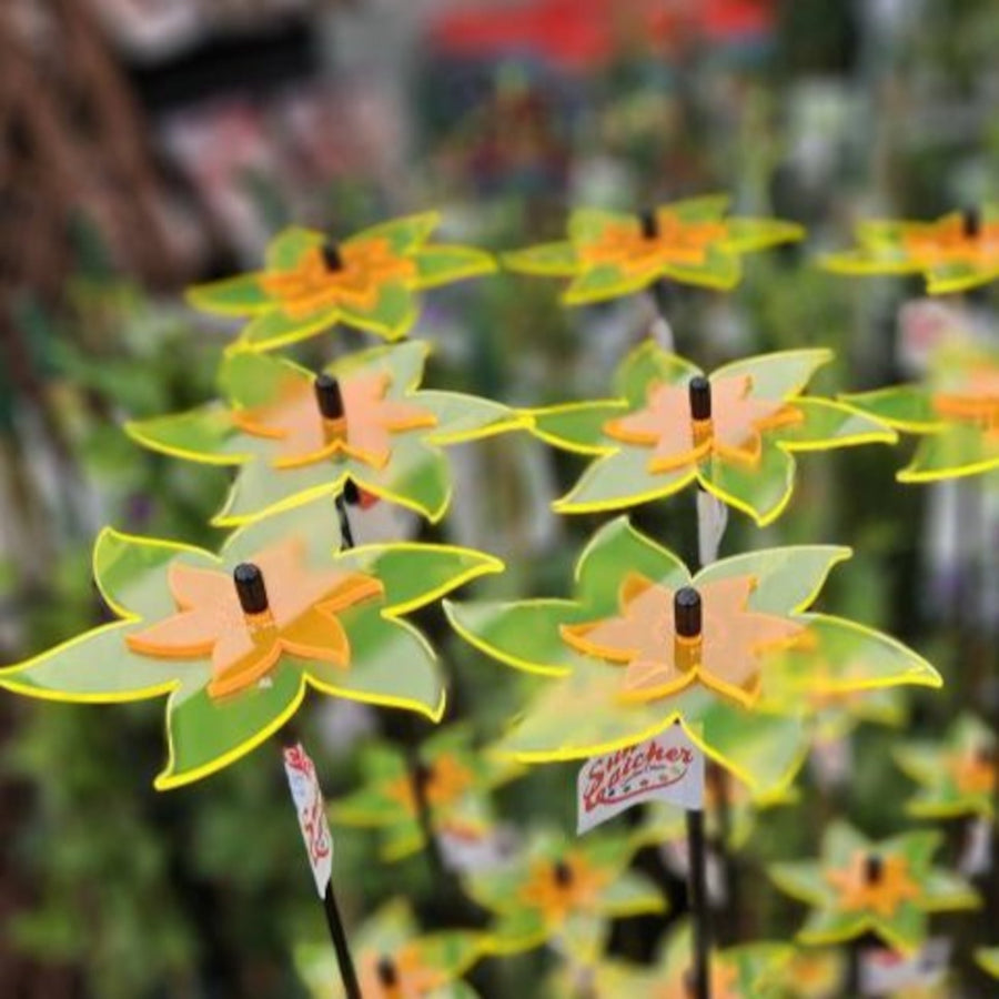 SunCatcher Fluorescent Daffodil Garden Stakes – Set of 3 Outdoor Garden Ornaments