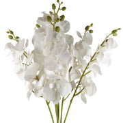 Pack of 6 x 100cm Artificial Phalaenopsis Orchid White Stem - Premium Quality