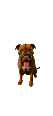 The "Danger" muzzle