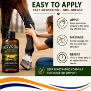 Advanced Recovery Liniment for Horses, Dogs & Active Animals | Veterinary Liniment Gel | DMSO, MSM, Magnesium & Castor Oil Liniment for Joint & Muscle Pain