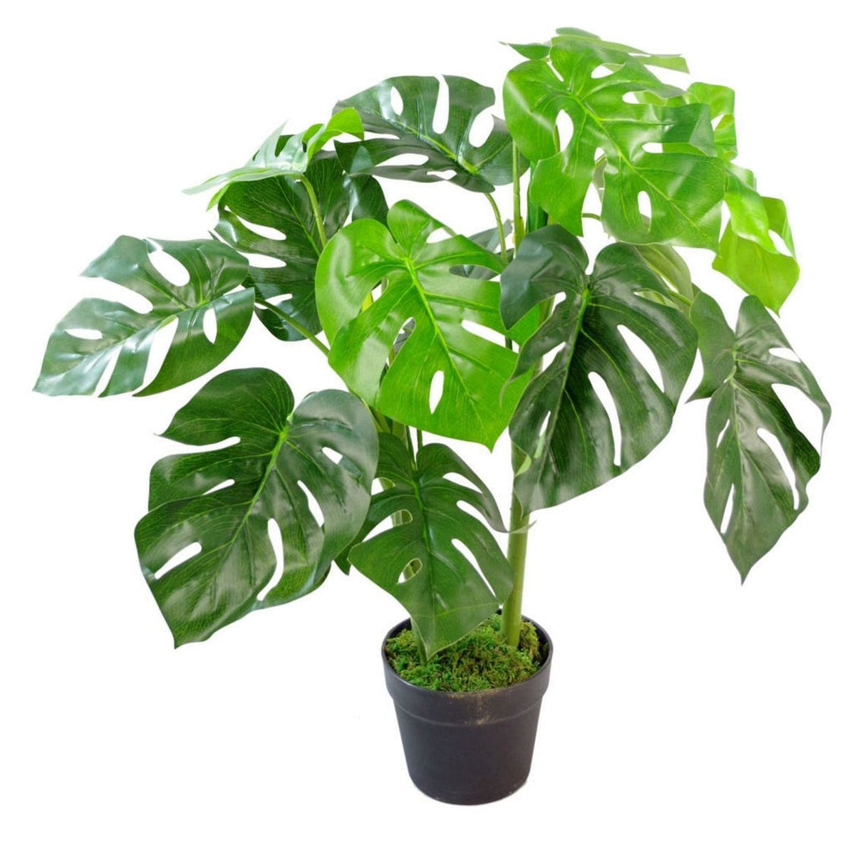 Artificial Monstera Cheese Plant 80cm