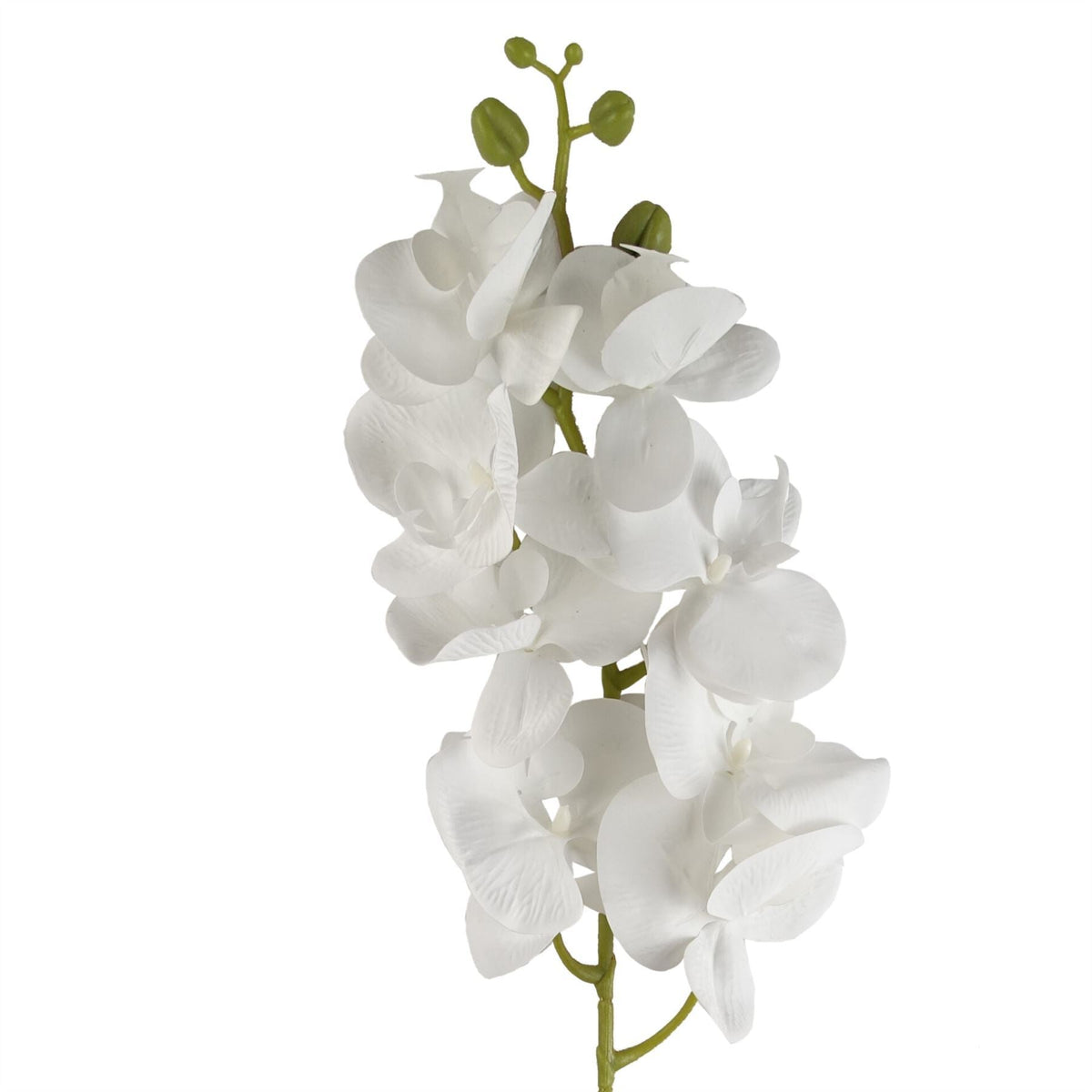 Pack of 6 x 100cm Artificial Phalaenopsis Orchid White Stem - Premium Quality