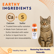 Lime Sulfur Dip – Concentrated Sulfur Solution for Itchy Skin, Mange, Ringworm & Dermatitis – Safe for Dogs, Cats, Horses, and Livestock