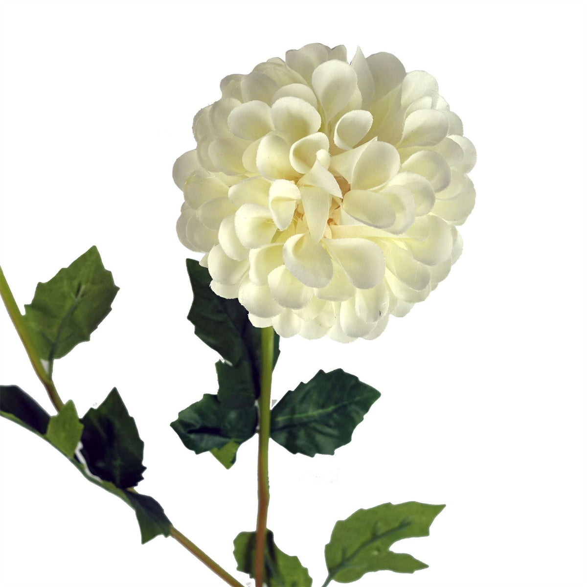 Pack of 6 x 75cm Artificial Dahlia PomPom Flower Stem Cream - Premium Quality