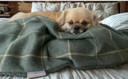 Arlo Forest Green Check Dog Blanket – Luxury Reversible Lambswool Sherpa Throw