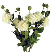 Pack of 6 x 75cm Artificial Dahlia PomPom Flower Stem Cream - Premium Quality
