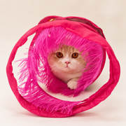 Interactive Foldable Cat Tunnel Toy – Crinkle Indoor Hide & Seek Portable Cat Play Tunnel