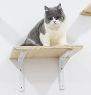 Cat Activity Center with Solid Wood Sisal Scratching Posts and Hammock