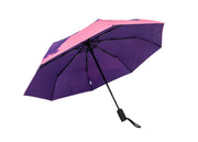 Ups & Downs Umbrella