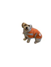 Waterproof Dog Coat - Orange