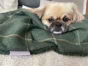 Arlo Forest Green Check Dog Blanket – Luxury Reversible Lambswool Sherpa Throw