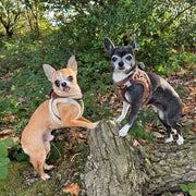 Tiny Trails Step In Luxury Leopard Fur Lined Puppy and Small Dog Harness