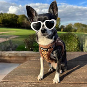 Tiny Trails Step In Luxury Leopard Fur Lined Puppy and Small Dog Harness
