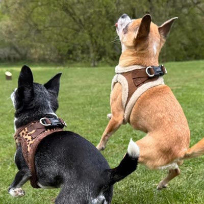 Tiny Trails Step In Luxury Leopard Fur Lined Puppy and Small Dog Harness