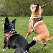 Tiny Trails Step In Luxury Leopard Fur Lined Puppy and Small Dog Harness