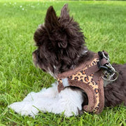 Tiny Trails Step In Luxury Leopard Fur Lined Puppy and Small Dog Harness