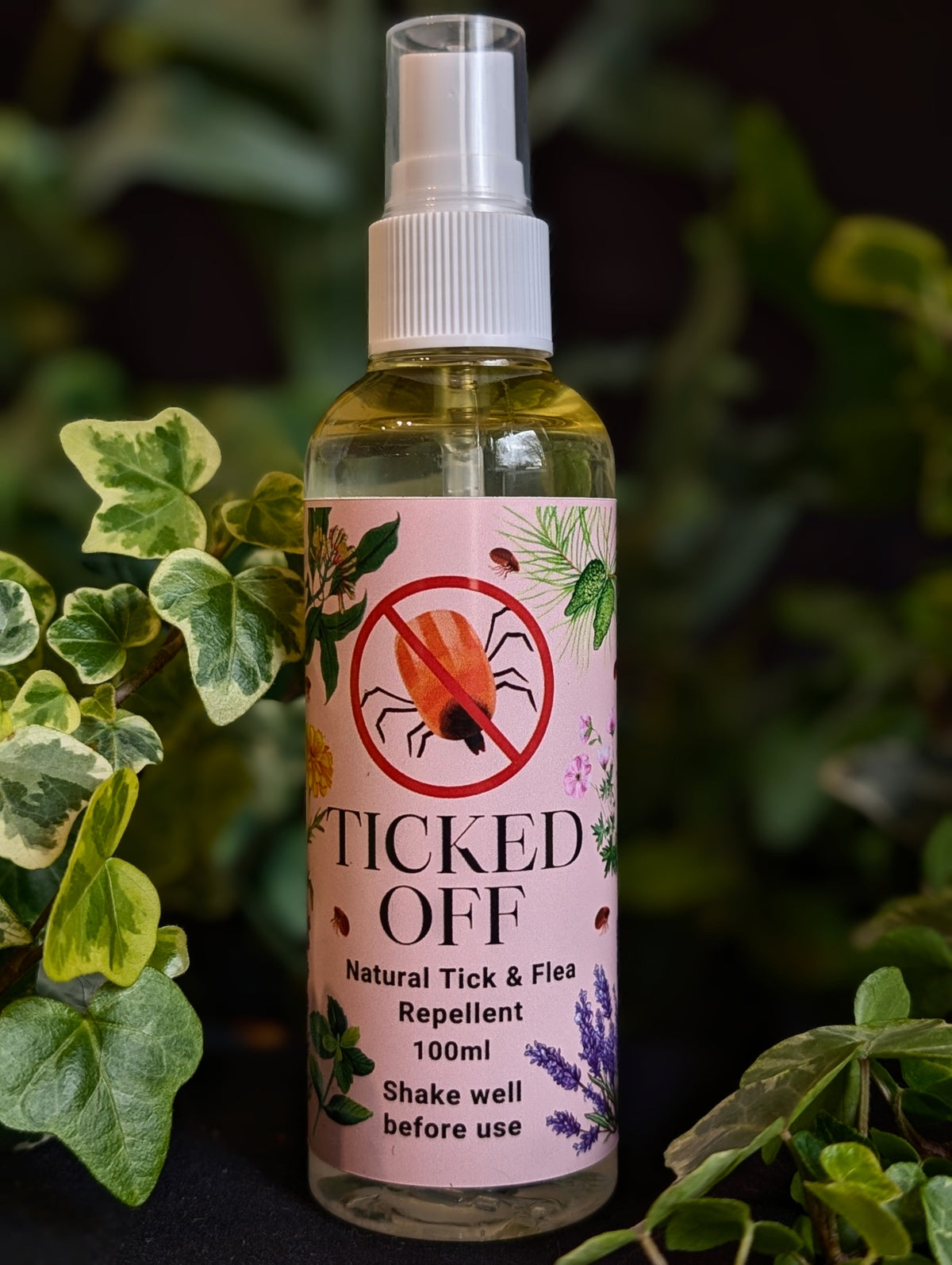 Ticked Off – Natural Tick & Flea Deterrent Spray for Dogs
