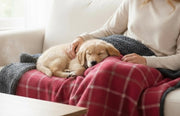 Drogo Red Check Dog Blanket – Luxury Reversible Sherpa Throw