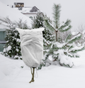 Protective Plant Cover, 50gsm Sack with Cord, Diameter: 45 cm, Size: 0.7m × 1.1 m