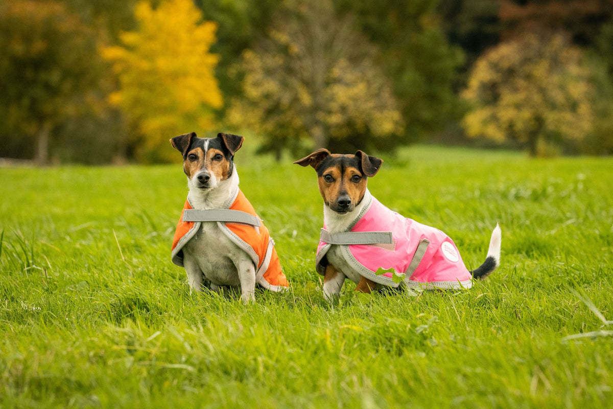 Waterproof Dog Coat - High Viz Pink