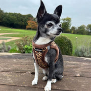 Tiny Trails Step In Luxury Leopard Fur Lined Puppy and Small Dog Harness