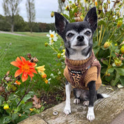 Tiny Trails Step In Luxury Leopard Fur Lined Puppy and Small Dog Harness
