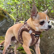 Tiny Trails Step In Luxury Leopard Fur Lined Puppy and Small Dog Harness