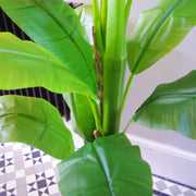 180cm Artificial Banana Tree Tropical Plant Gold Metal Planter - Premium Quality