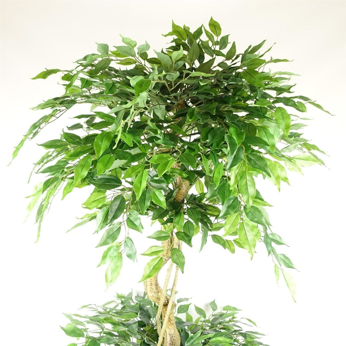 180cm Artificial Twisted Trunk Fruticosa Ficus Tree Triple Ball Topiary 1984 Leaves Silver Metal Planter - Premium Quality