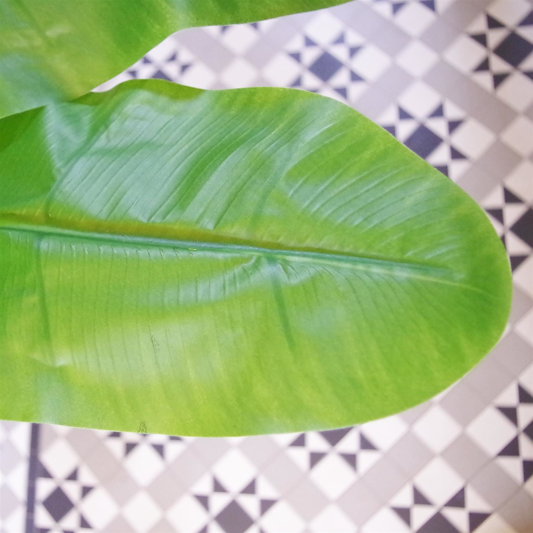 180cm Artificial Banana Tree Tropical Plant Gold Metal Planter - Premium Quality