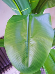 180cm Artificial Banana Tree Tropical Plant Gold Metal Planter - Premium Quality