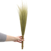 Natural Pampas Broom – Set of 4