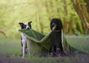 THE RICHMOND | LUXURY GREEN STONEWASHED & SHERPA REVERSIBLE DOG BLANKET