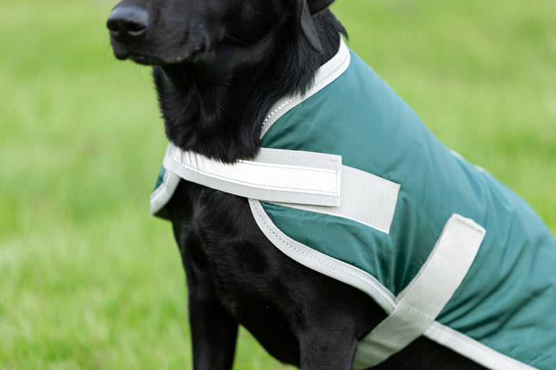 Waterproof Dog Coat - Hunter Green