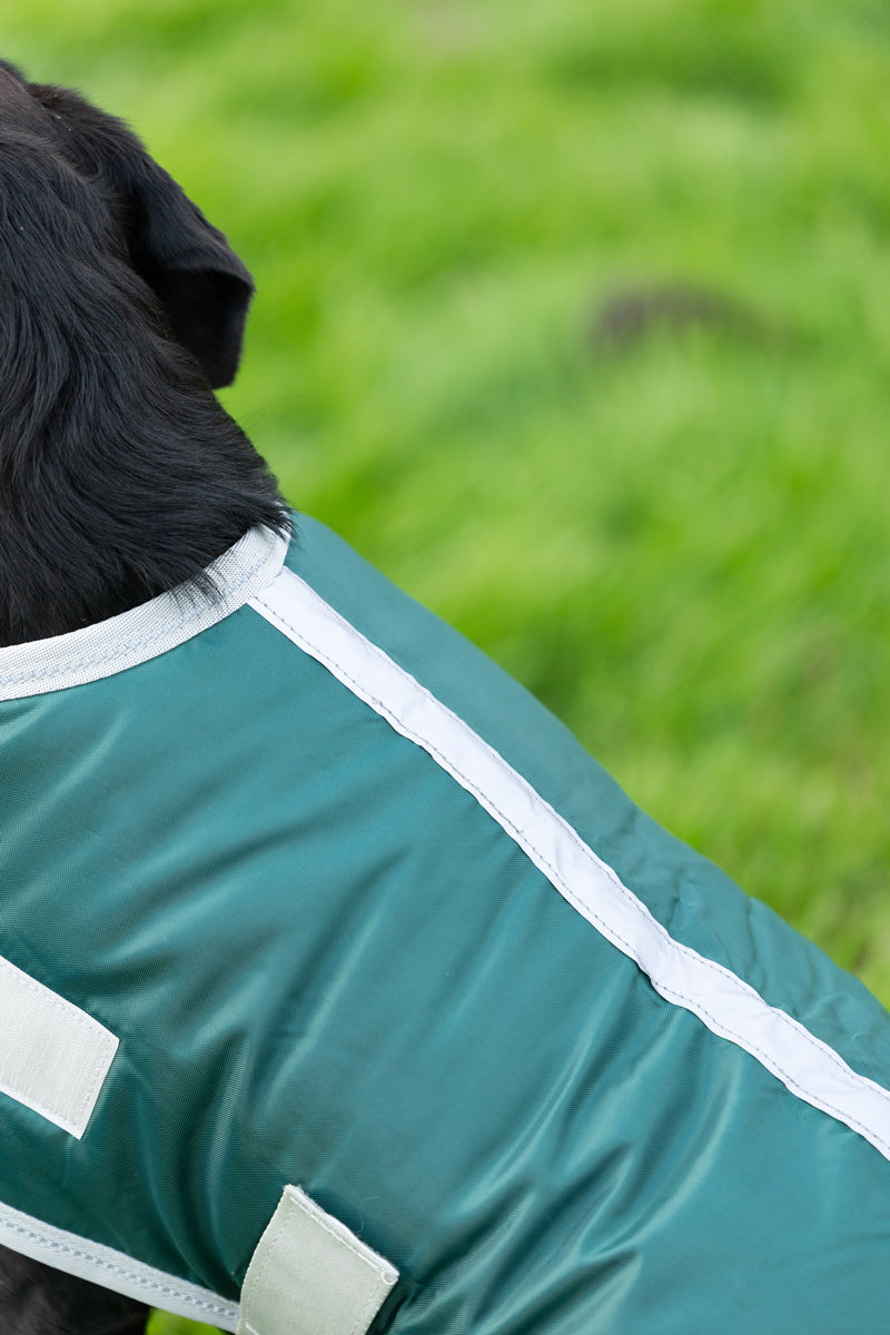Waterproof Dog Coat - Hunter Green