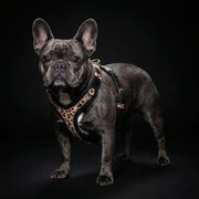 The Leopard Harness Small to Medium Size