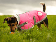 Waterproof Dog Coat - High Viz Pink