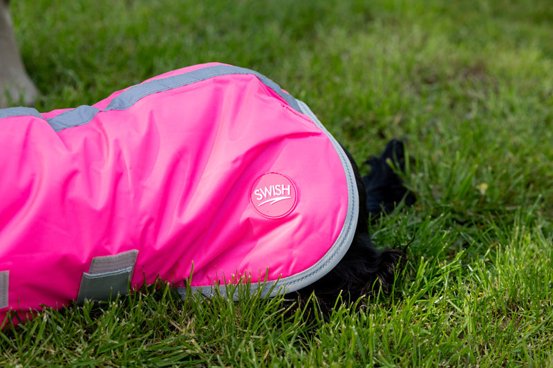 Waterproof Dog Coat - High Viz Pink