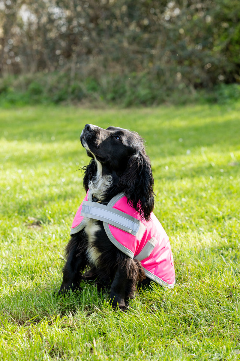 Waterproof Dog Coat - High Viz Pink