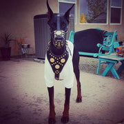 ''Maximus'' Basket Muzzle Brown & Gold
