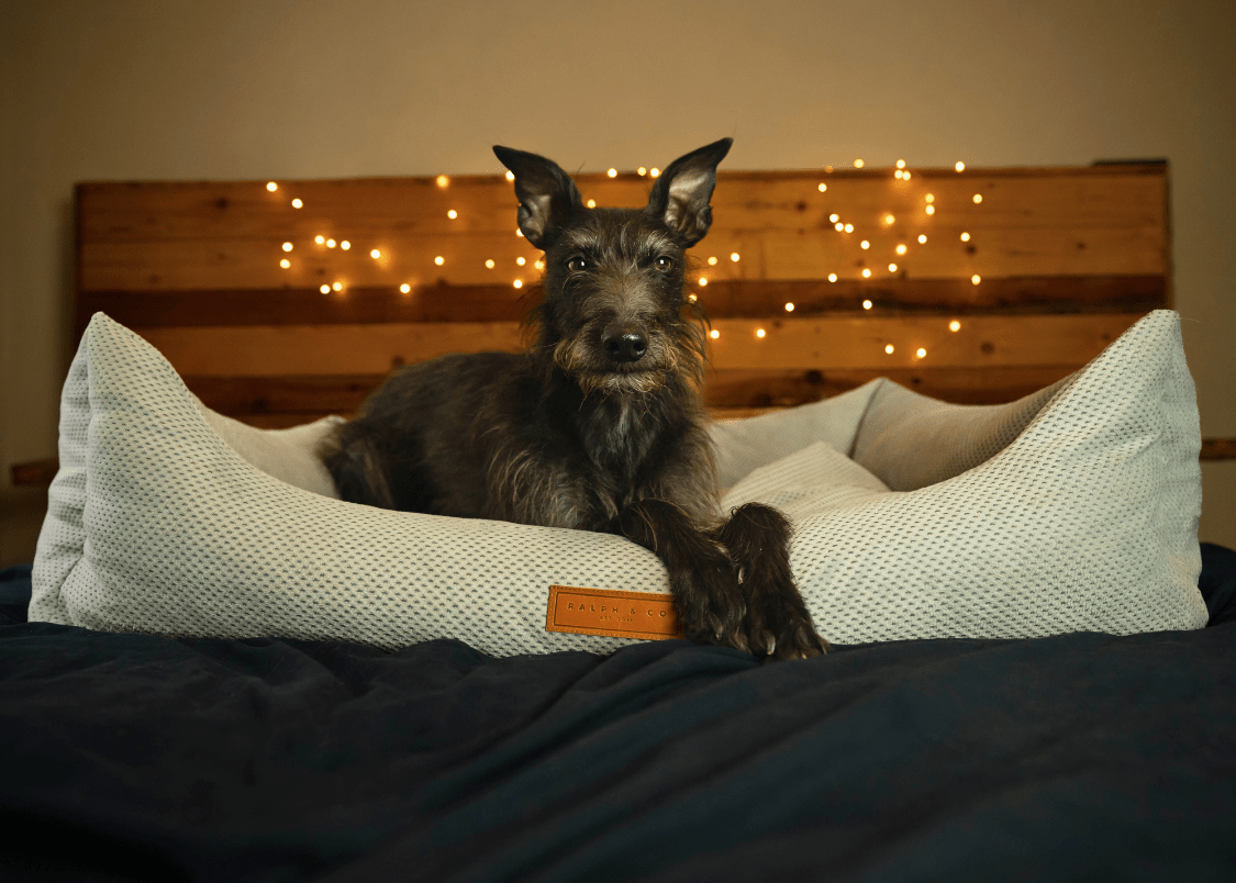 The Highclere | Luxury Memory Foam Dog Bed