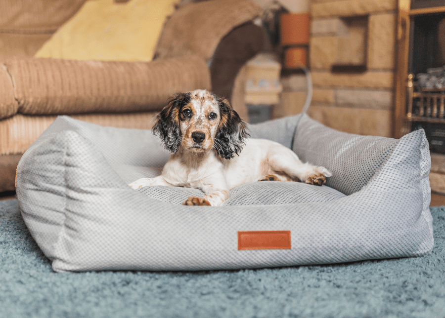 The Highclere | Luxury Memory Foam Dog Bed