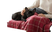 Drogo Red Check Dog Blanket – Luxury Reversible Sherpa Throw