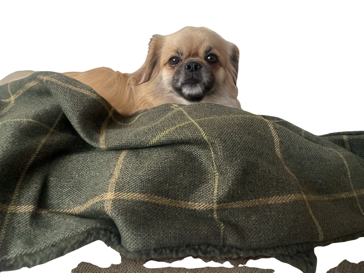 Arlo Forest Green Check Dog Blanket – Luxury Reversible Lambswool Sherpa Throw