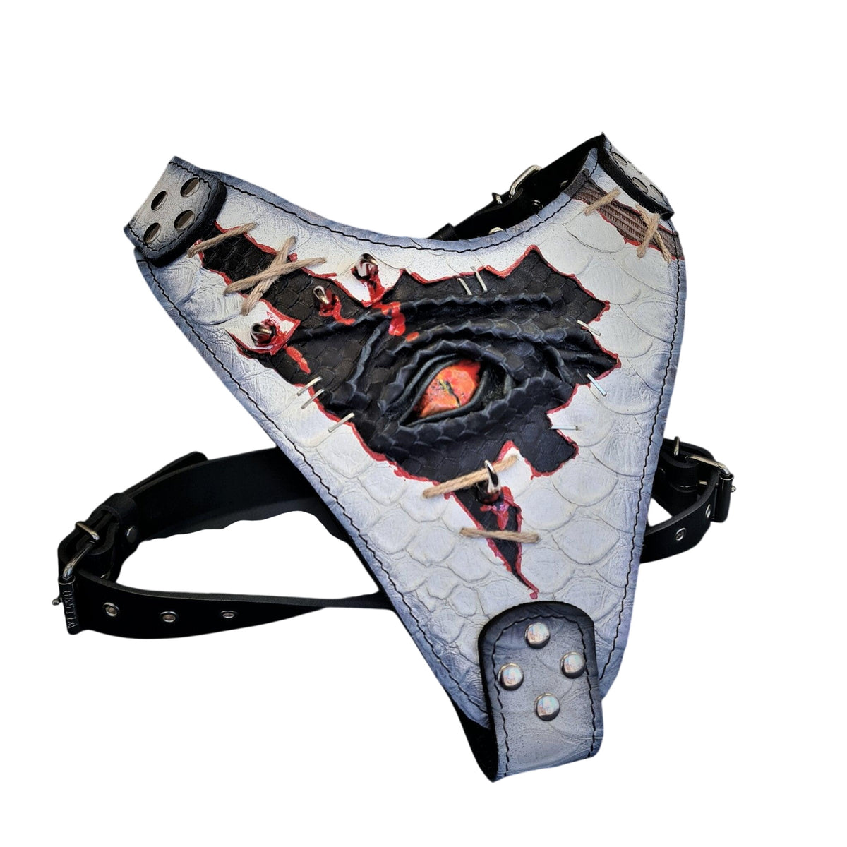 The “Dragon's Eye” Harness LIMITED!